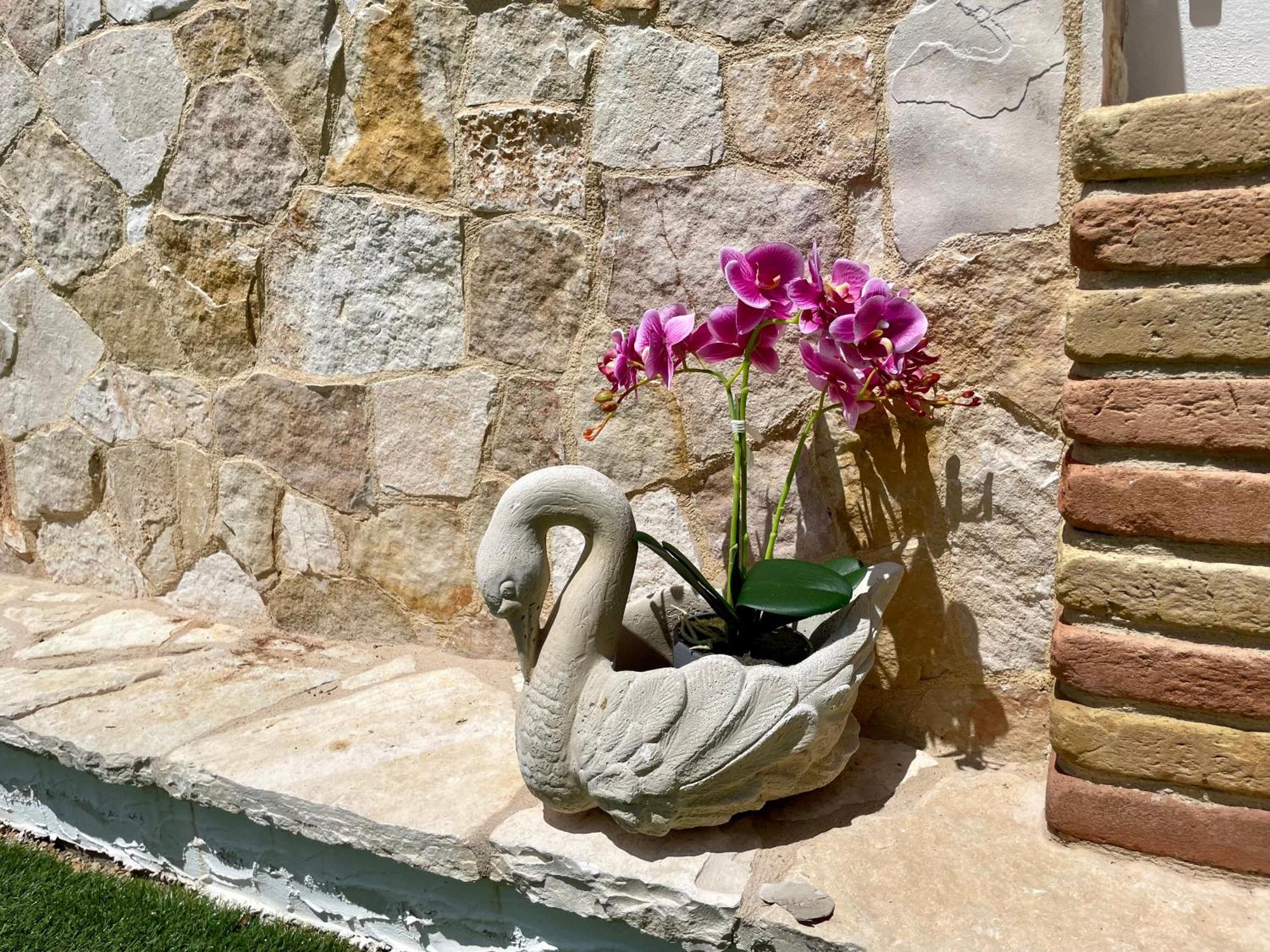 Residenza Collina & Romantic Porto Conte